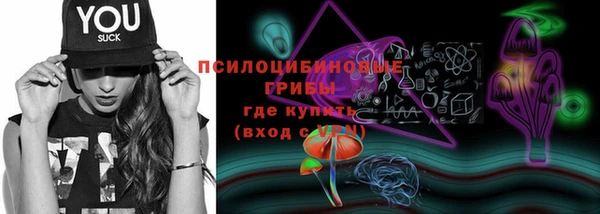 сатива Слюдянка