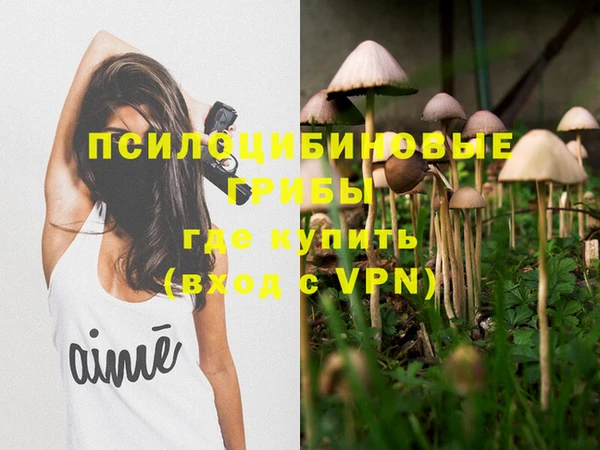 метамфетамин Козловка