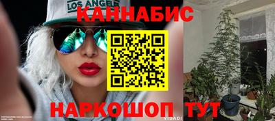 эйфоретик Берёзовский