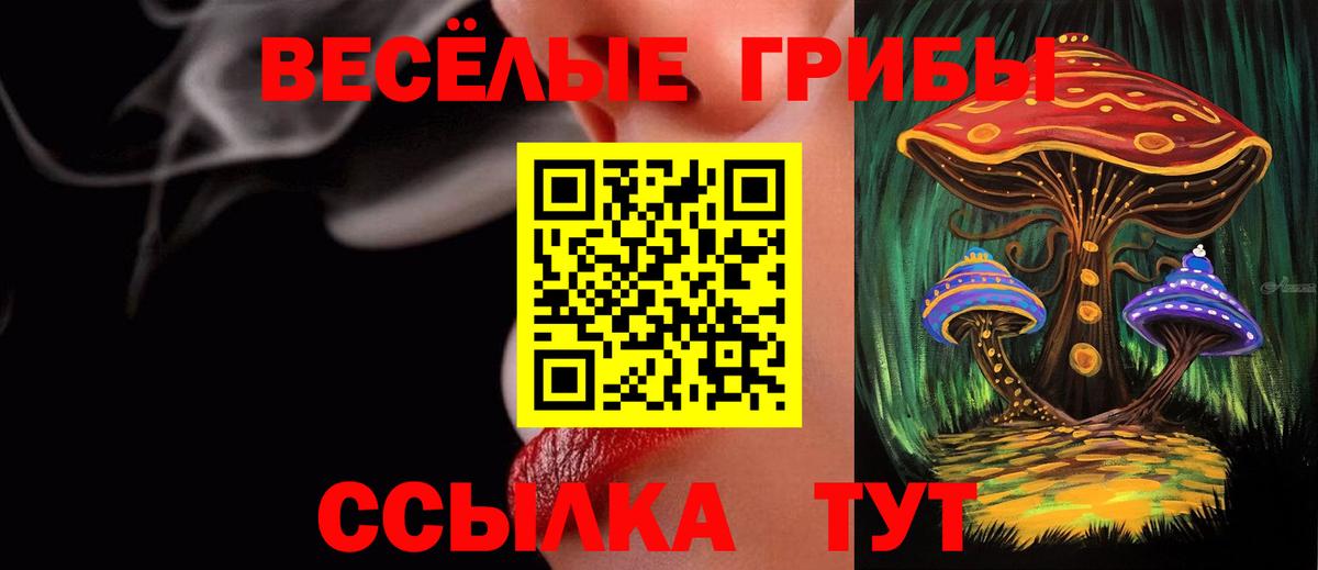 Псилоцибиновые грибы мухоморы Ногинск